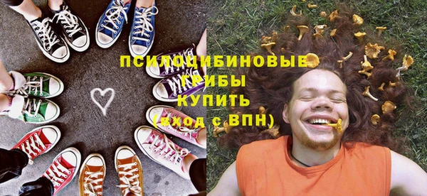 кокс Михайлов